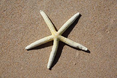 国风肉鸽新锐《长安：石之舞》今日开启Steam公测，揭秘